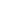 Cat lover, evolution shirt