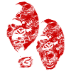 Monkey Gorilla