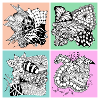 Zentangle pattern patterncontest