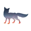 Space Fox