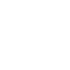 mandolin player