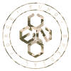 Special Force Logo