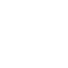 Accordion Evolution