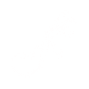 Lizard