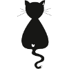 Cat black