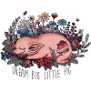 dream big little pig