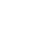 Team Labrador dog