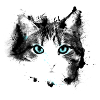 Cat eyes