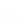 Mouse skateboard