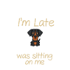 Rottweiler dog owner