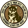 Shiba Inu dog