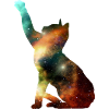 Cat galaxy