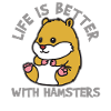 Hamster Hamster