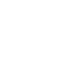 Cats Kittens Evolution TShirt