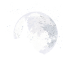 Bunny Moon