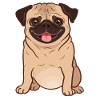 Funny pug - Pug - Shirt