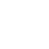 Programmer