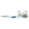 Pond