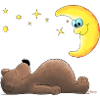 süßer Teddybär - Bär