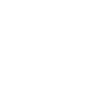 Skull with crown