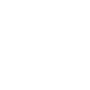 Corgi