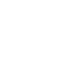 Corgi