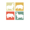 hippo