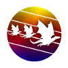 drachen