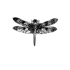 Dragonfly Whisperer