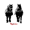 kaltblutduo_original