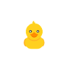 I like ducks