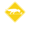 Dinosauerier