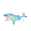 Aquarelle baleine