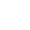 Eléphant géométrie géométrique