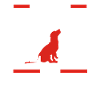 Dogs Saying