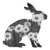 Easter easter bunny