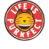 Thinking cat positively