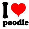 I love poodle