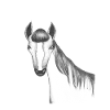 Horsehead