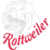 569 Rottweiler chien