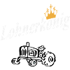 Lohner King