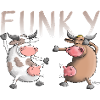 Funky, Crazy, Fun