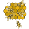 Bees on honeycomb
