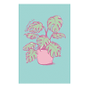 Monstera