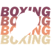 Boxing Gloves