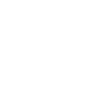Jesus fan