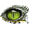 Crocodile eye