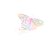 Butterfly flies