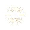 Dragonfly animal