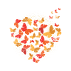 Butterflies love